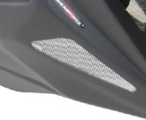 Beak - Beaks - POWERBRONZE