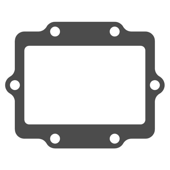 Gasket for reed valve - V-FORCE Reed Valve - MOTO TASSINARI