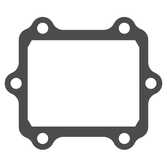 Gasket for reed valve - V-FORCE Reed Valve - MOTO TASSINARI