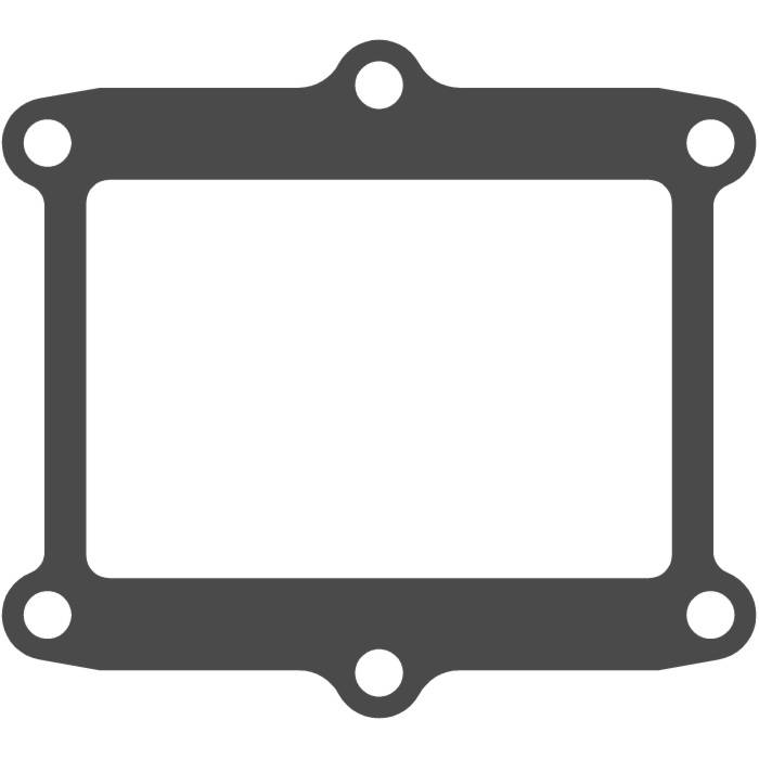 Guarnizione valvola lamellare V4R (2 pezzi) - V-FORCE Valvola lamellare - MOTO TASSINARI