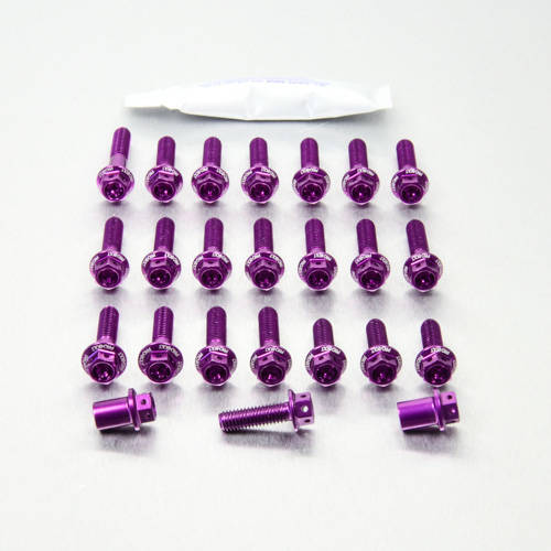 Kit carter motore Ergal - Viti forate corsa - Kit bulloneria - Ergal - PRO-BOLT