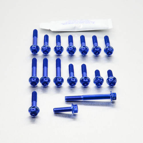 Kit carter motore Ergal - Viti forate corsa - Kit bulloneria - Ergal - PRO-BOLT