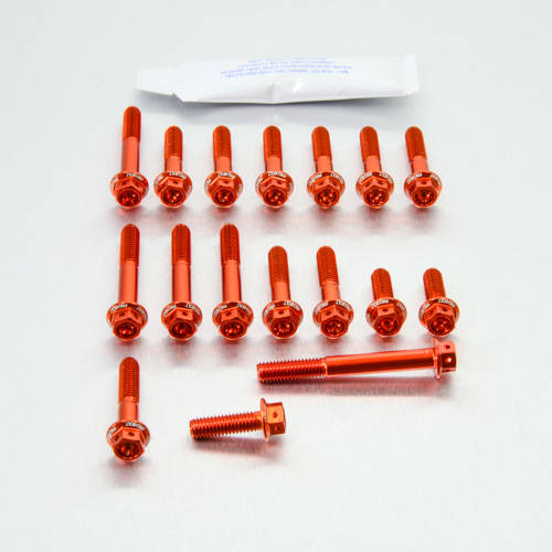 Kit carter motore Ergal - Viti forate corsa - Kit bulloneria - Ergal - PRO-BOLT