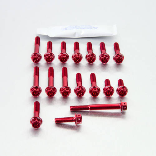 Kit carter motore Ergal - Viti forate corsa - Kit bulloneria - Ergal - PRO-BOLT