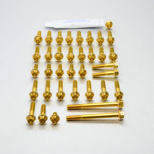 Kit carter motore Ergal - Viti forate corsa - Kit bulloneria - Ergal - PRO-BOLT