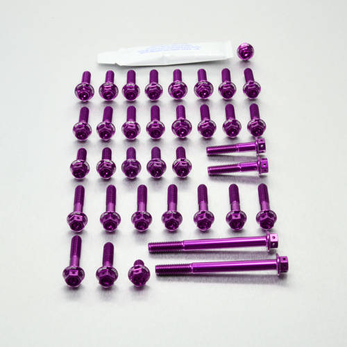 Kit carter motore Ergal - Viti forate corsa - Kit bulloneria - Ergal - PRO-BOLT