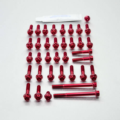 Kit carter motore Ergal - Viti forate corsa - Kit bulloneria - Ergal - PRO-BOLT