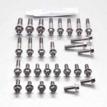 Kit carter motore Inox - viti testa esagonale - Kit bulloneria - Inox - PRO-BOLT
