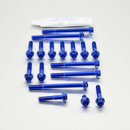 Kit carter motore Ergal - Viti forate corsa - Kit bulloneria - Ergal - PRO-BOLT