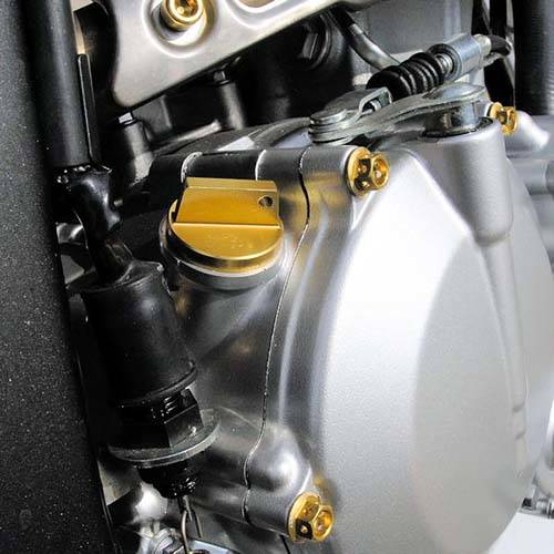 Kit carter motore Ergal - Viti forate corsa - Kit bulloneria - Ergal - PRO-BOLT