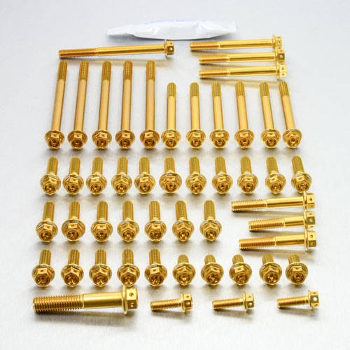 Kit carter motore Ergal - Viti forate corsa - Kit bulloneria - Ergal - PRO-BOLT