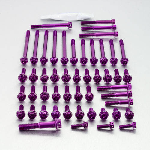 Kit carter motore Ergal - Viti forate corsa - Kit bulloneria - Ergal - PRO-BOLT