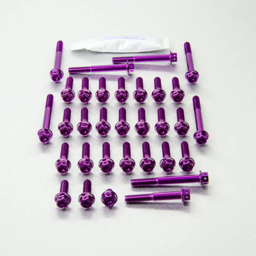 Kit carter motore Ergal - Viti forate corsa - Kit bulloneria - Ergal - PRO-BOLT