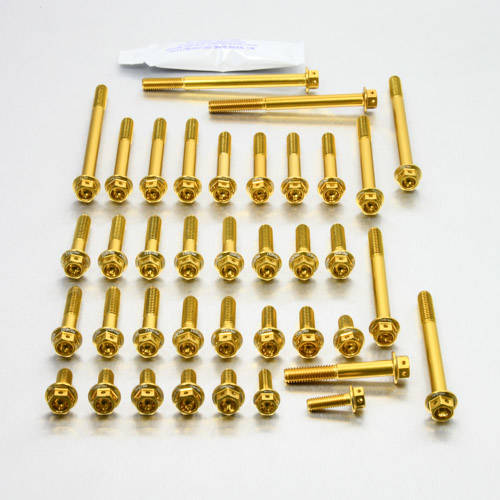 Kit carter motore Ergal - Viti forate corsa - Kit bulloneria - Ergal - PRO-BOLT