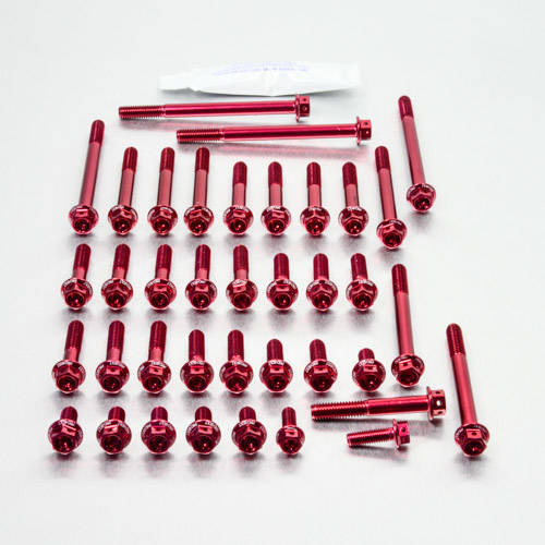 Kit carter motore Ergal - Viti forate corsa - Kit bulloneria - Ergal - PRO-BOLT