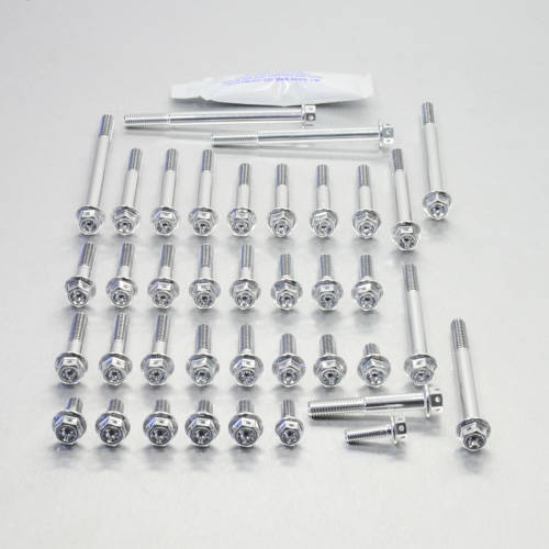 Kit carter motore Ergal - Viti forate corsa - Kit bulloneria - Ergal - PRO-BOLT