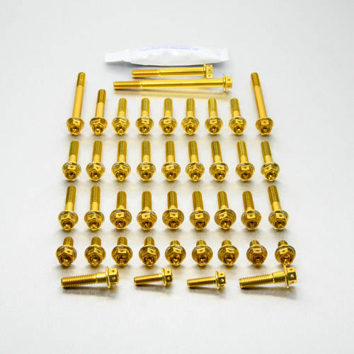 Kit carter motore Ergal - Viti forate corsa - Kit bulloneria - Ergal - PRO-BOLT
