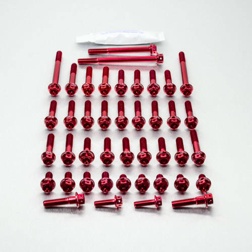 Kit carter motore Ergal - Viti forate corsa - Kit bulloneria - Ergal - PRO-BOLT