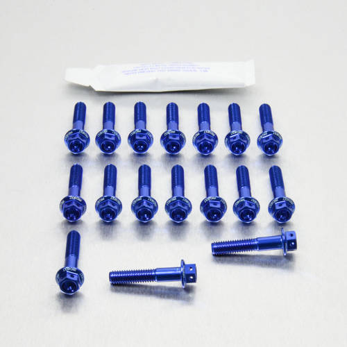 Kit carter motore Ergal - Viti forate corsa - Kit bulloneria - Ergal - PRO-BOLT