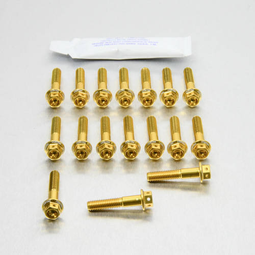 Kit carter motore Ergal - Viti forate corsa - Kit bulloneria - Ergal - PRO-BOLT