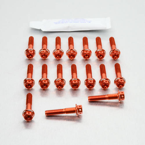 Kit carter motore Ergal - Viti forate corsa - Kit bulloneria - Ergal - PRO-BOLT