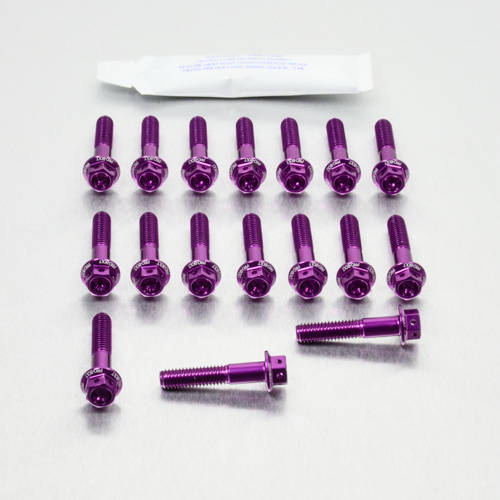 Kit carter motore Ergal - Viti forate corsa - Kit bulloneria - Ergal - PRO-BOLT