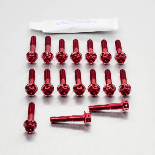 Kit carter motore Ergal - Viti forate corsa - Kit bulloneria - Ergal - PRO-BOLT