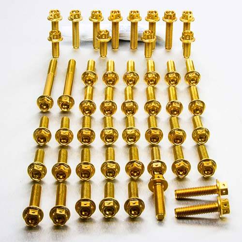 Kit carter motore Ergal - Viti forate corsa - Kit bulloneria - Ergal - PRO-BOLT