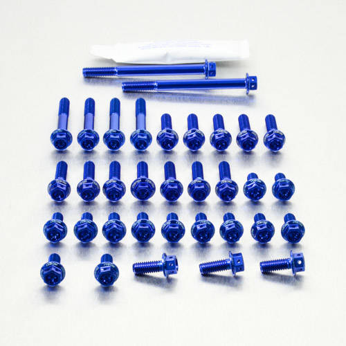 Kit carter motore Ergal - Viti forate corsa - Kit bulloneria - Ergal - PRO-BOLT