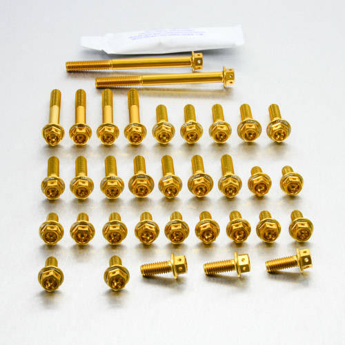 Kit carter motore Ergal - Viti forate corsa - Kit bulloneria - Ergal - PRO-BOLT