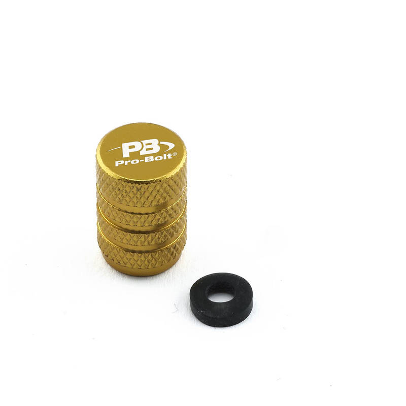 Tappi valvola pneumatico - Accessori - Ergal - PRO-BOLT