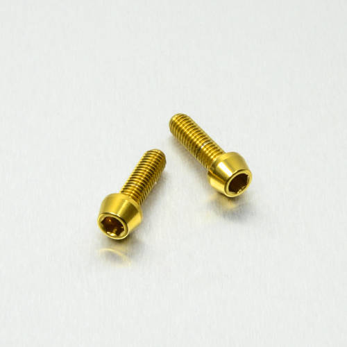 Kit Viti Serbatoio Freno Posteriore - Kit bulloneria - Inox - PRO-BOLT