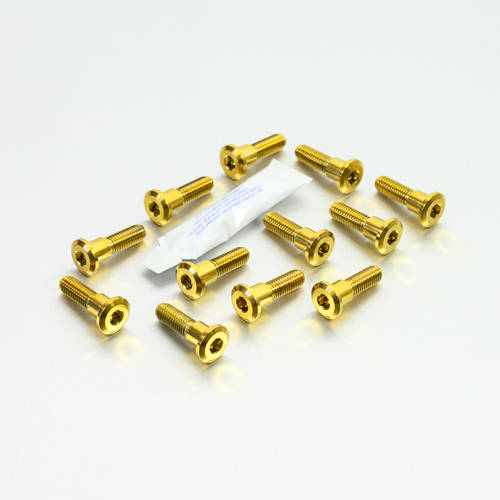 Inox - Viti dischi freno ant. - 12 pezzi - Kit bulloneria - Inox - PRO-BOLT