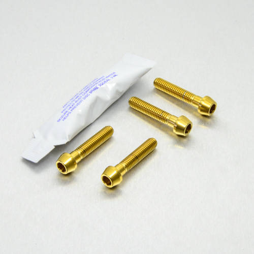 Bracciali leve Freno e Frizione - Kit viti Inox - Kit bulloneria - Inox - PRO-BOLT