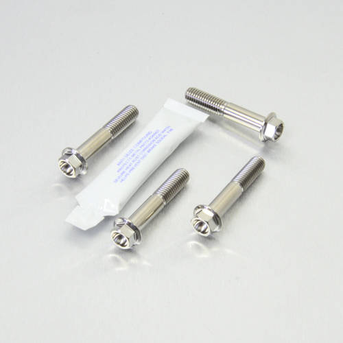 Viti Piede Forcella - kit Inox - Kit bulloneria - Inox - PRO-BOLT