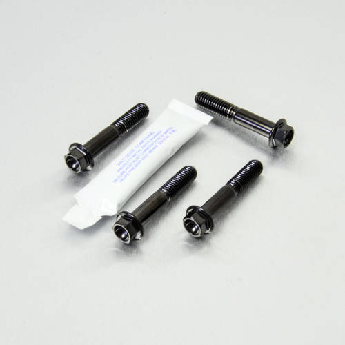 Viti Piede Forcella - kit Inox - Kit bulloneria - Inox - PRO-BOLT