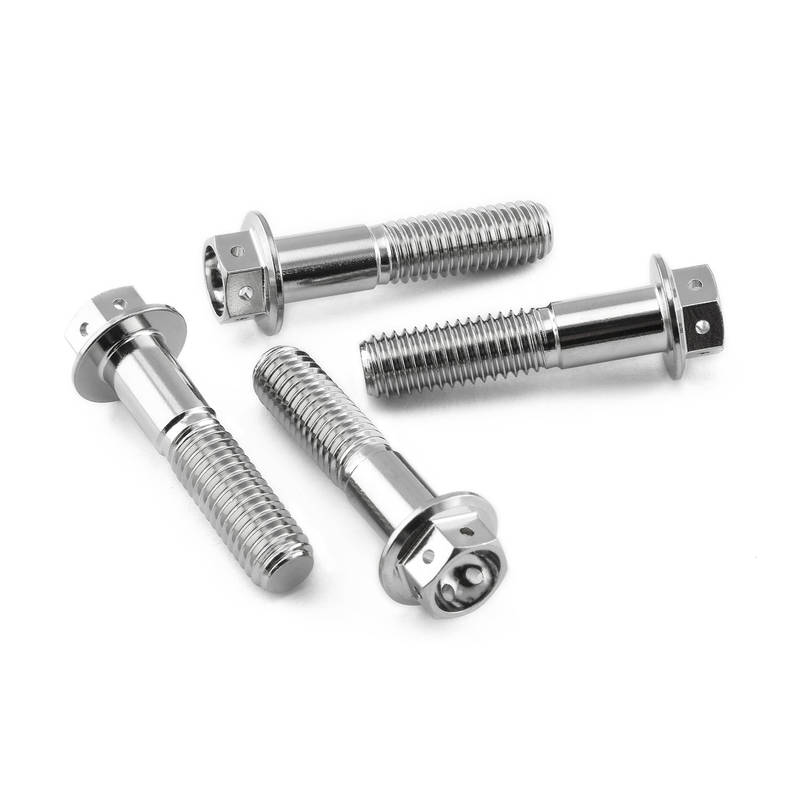 Viti Piede Forcella - kit Inox Race Spec - Kit bulloneria - Inox - PRO-BOLT