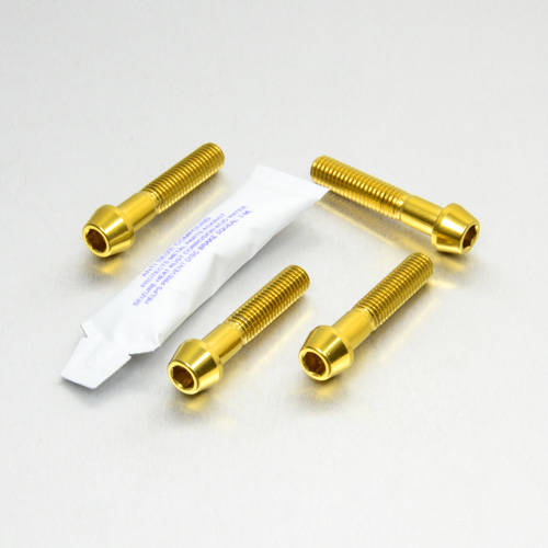 Viti Piede Forcella - kit Inox Testa Conica - Kit bulloneria - Inox - PRO-BOLT