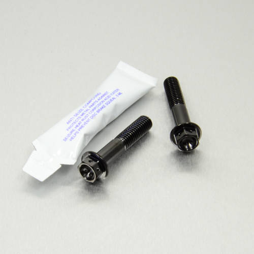 Viti Pinza Freno Ant. - kit Inox Race Spec - Kit bulloneria - Inox - PRO-BOLT