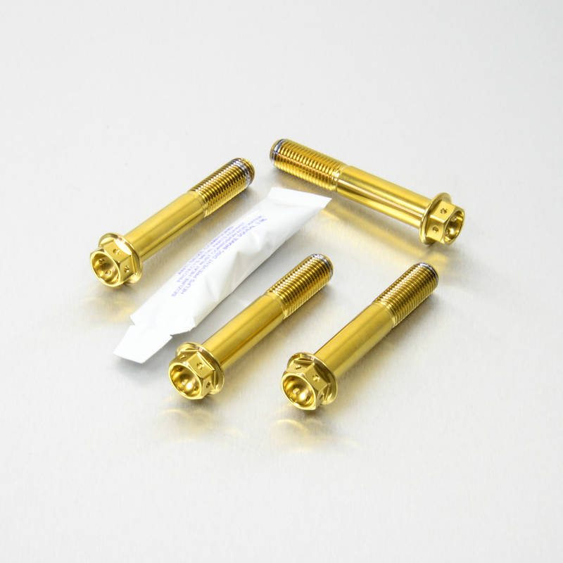 Viti Pinza Freno Ant. - kit Inox Race Spec - Kit bulloneria - Inox - PRO-BOLT