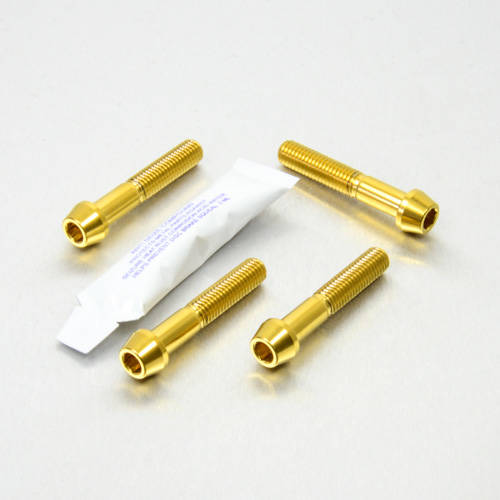 Viti Supporto Pedane Passeggero - Inox - Kit bulloneria - Inox - PRO-BOLT