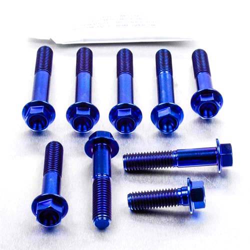Triple Clamp Bolt Kit - Bolt kits - Titanium - PRO-BOLT