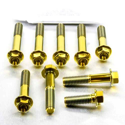 Triple Clamp Bolt Kit - Bolt kits - Titanium - PRO-BOLT