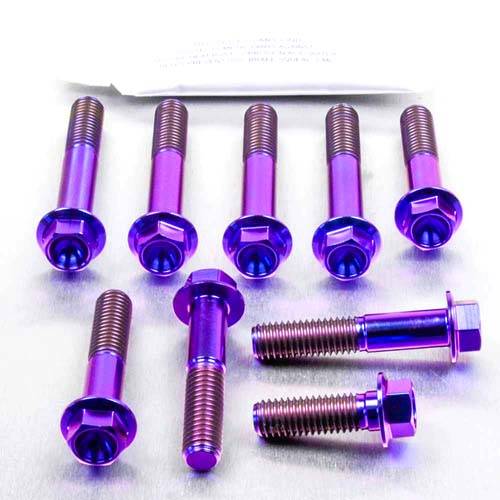 Triple Clamp Bolt Kit - Bolt kits - Titanium - PRO-BOLT