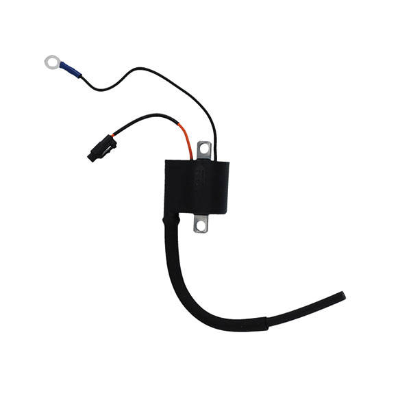 Bobine esterne - Bobine Accensione - RICAMBI - SPARE PARTS