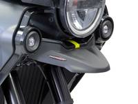 Beak - Beaks - POWERBRONZE