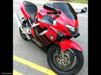 Standard - Screen - POWERBRONZE