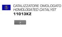 Catalizzatore - Scarico - Catalizzatore - ARROW
