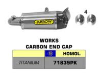Works - Titanium - Exhaust - Silencer - ARROW