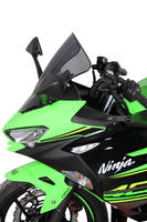 R - Racing - Screen - MRA